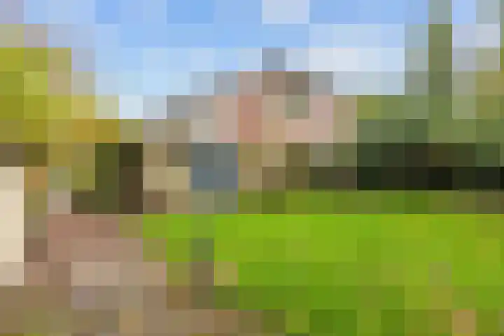 Weegbree 17 Grootegast thumbnail 26