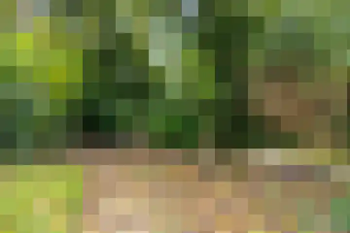 Weegbree 17 Grootegast thumbnail 27
