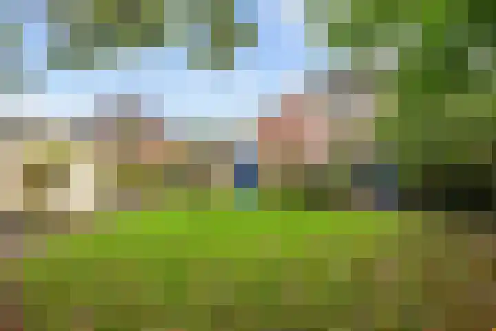Weegbree 17 Grootegast thumbnail 28