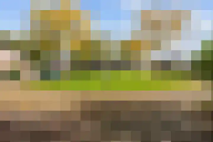 Weegbree 17 Grootegast thumbnail 5