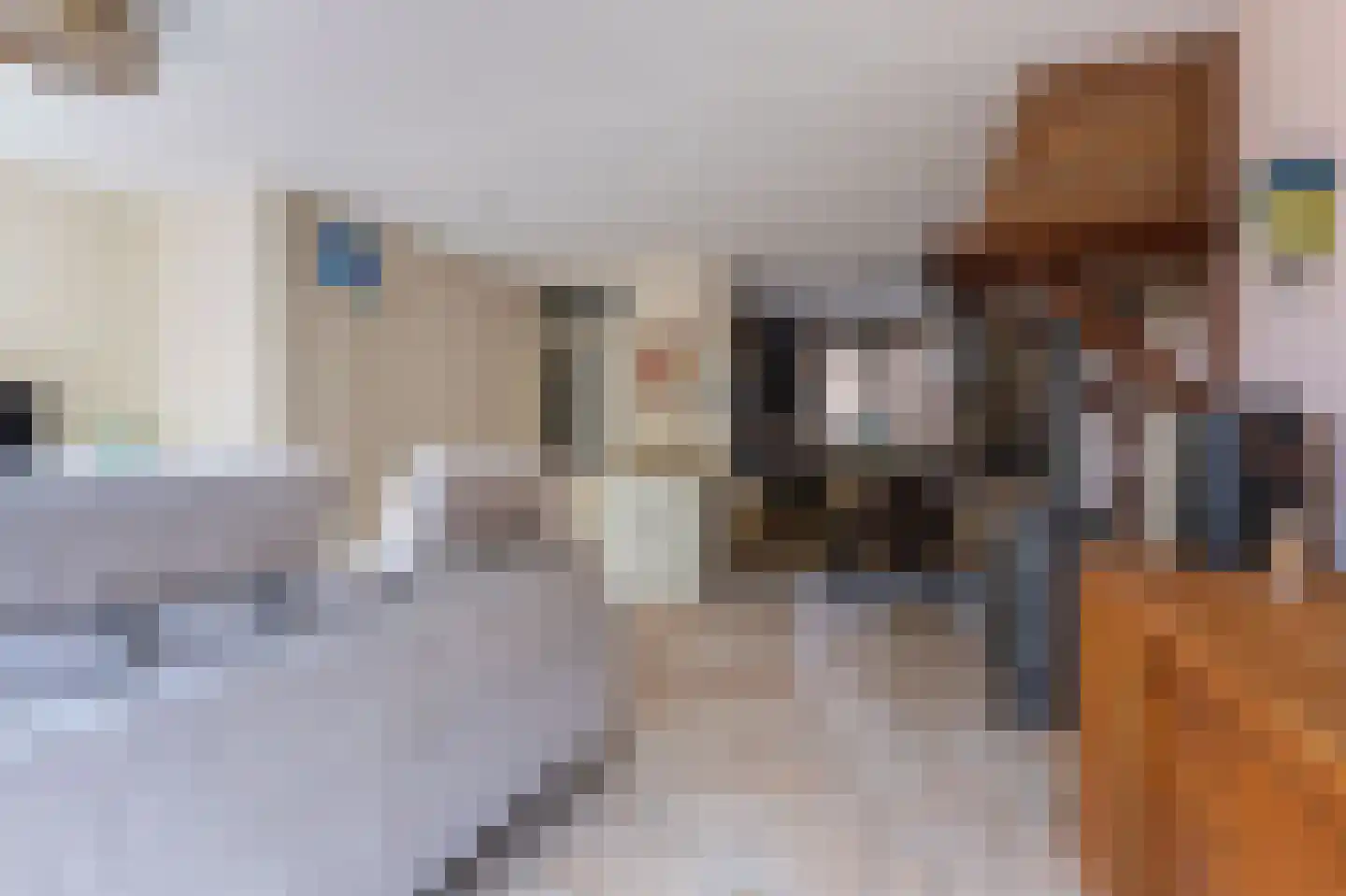 Weegbree 172 Zwaag thumbnail 15
