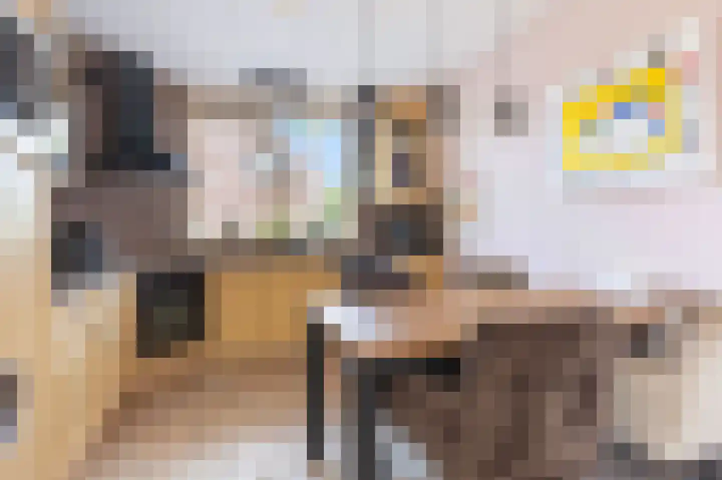 Weegbree 172 Zwaag thumbnail 16