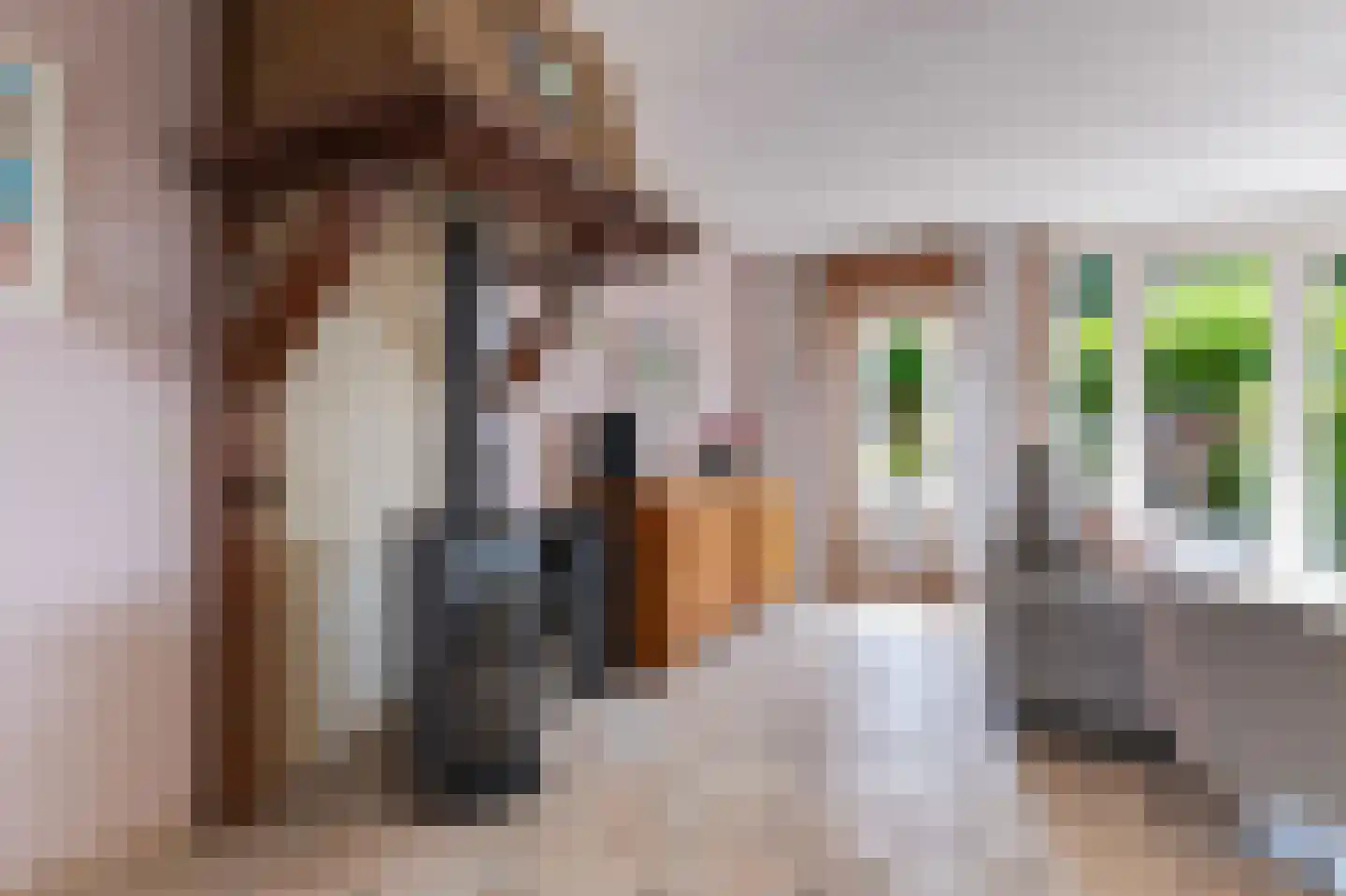 Weegbree 172 Zwaag thumbnail 19