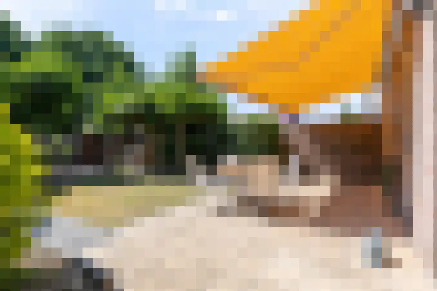 Weegbree 172 Zwaag thumbnail 22