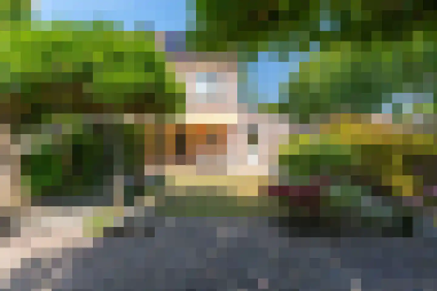 Weegbree 172 Zwaag thumbnail 4