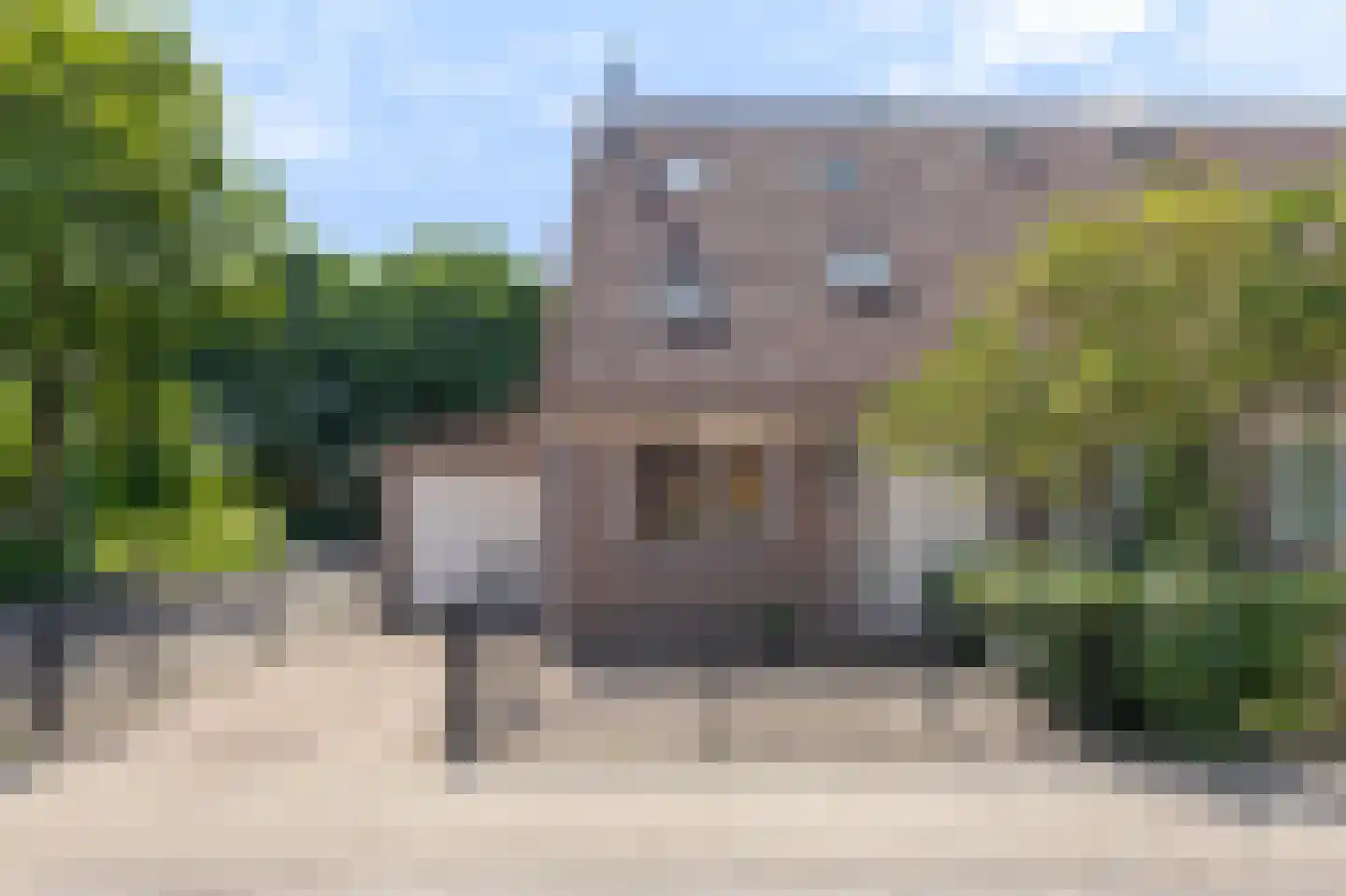 Weegbree 172 Zwaag thumbnail 6
