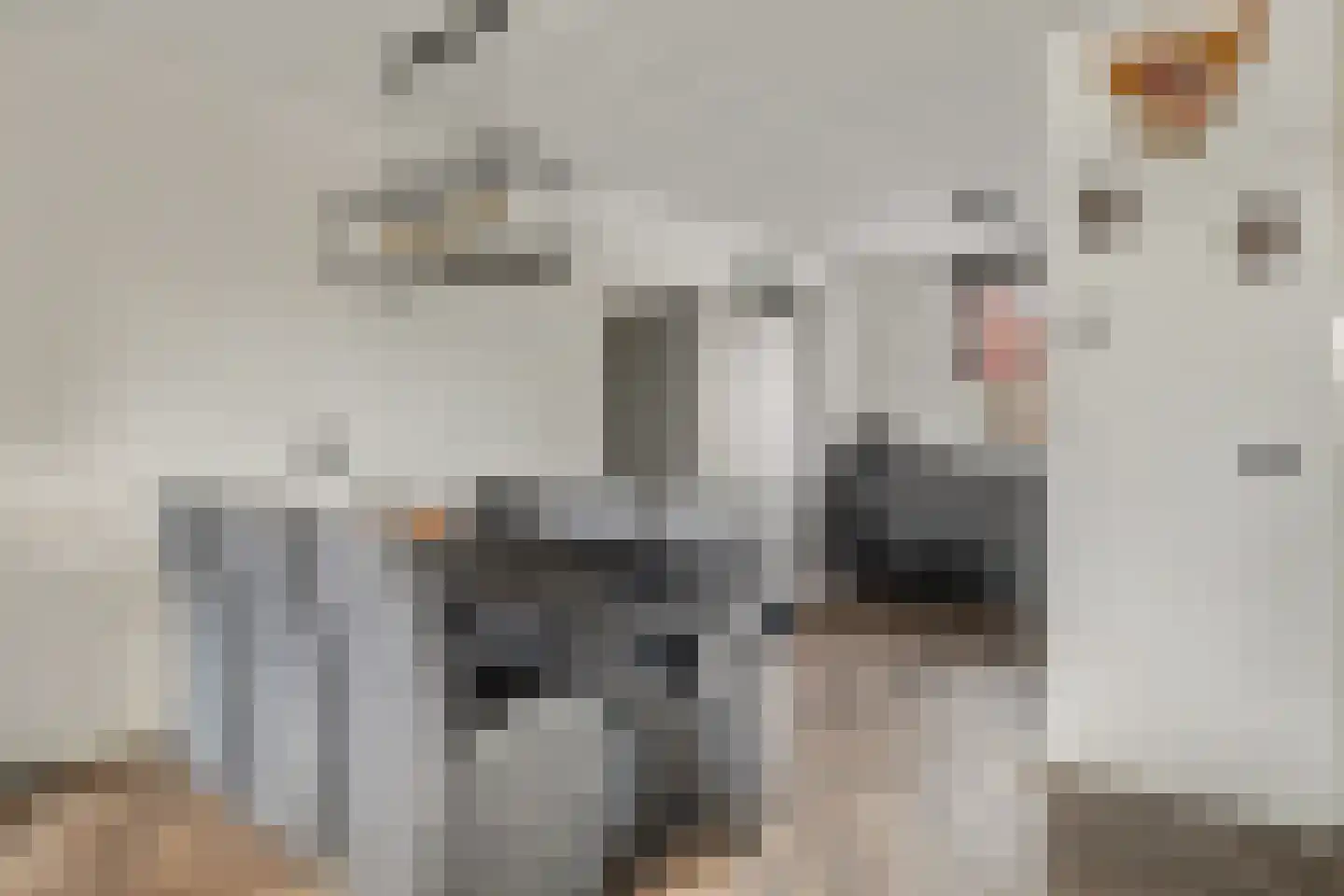 Weegbree 179 Zwaag thumbnail 13