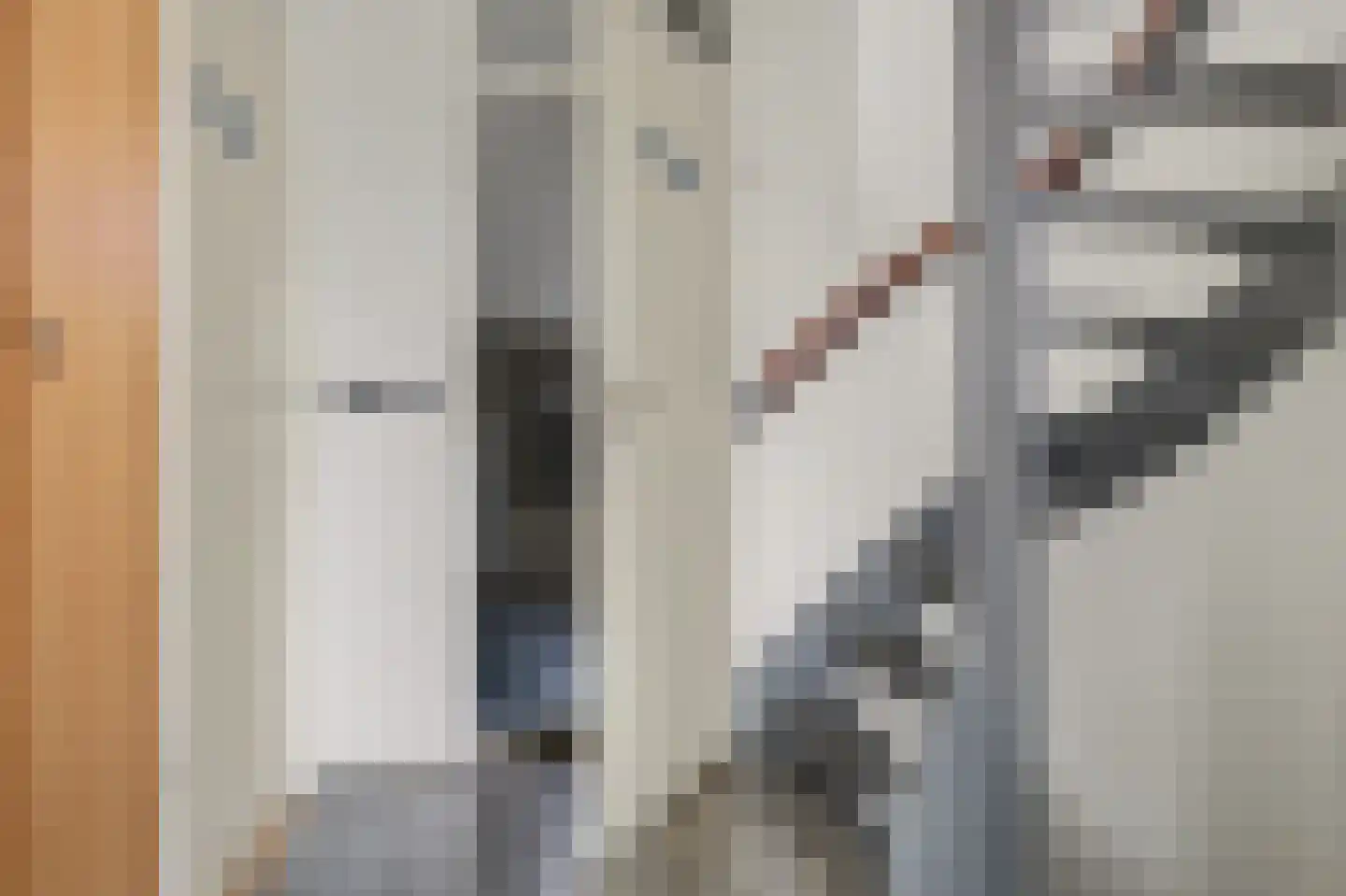 Weegbree 179 Zwaag thumbnail 17