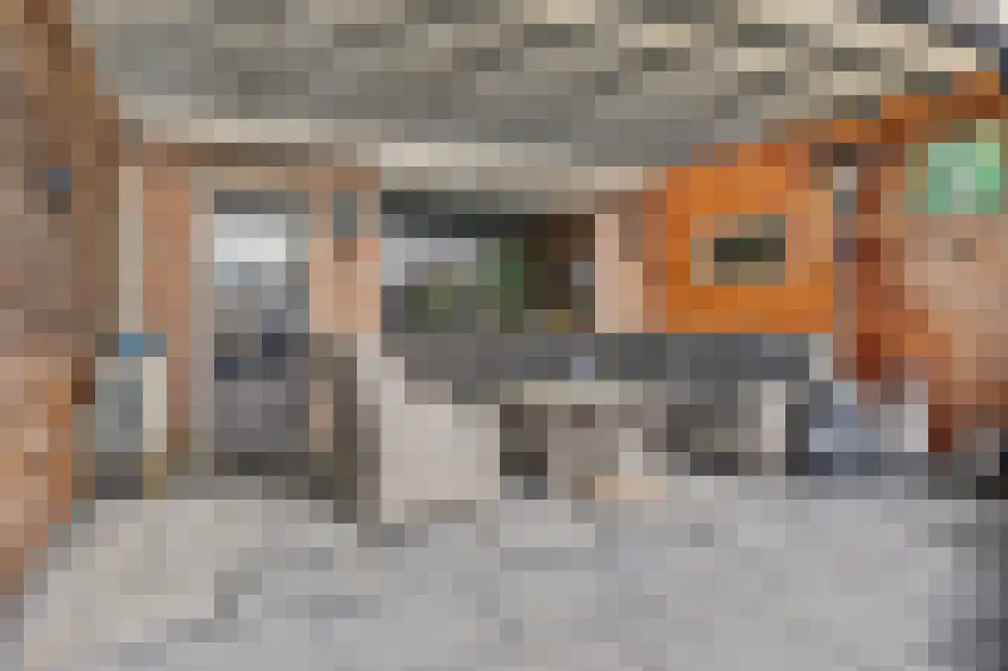 Weegbree 179 Zwaag thumbnail 33