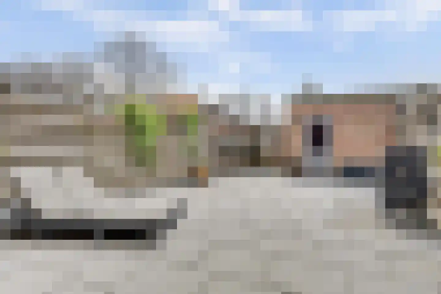Weegbree 179 Zwaag thumbnail 35
