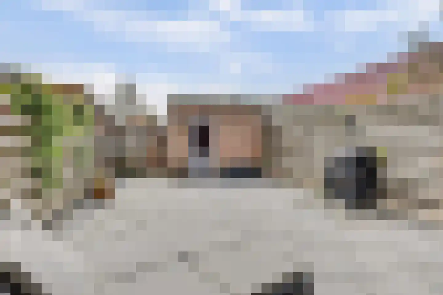 Weegbree 179 Zwaag thumbnail 36