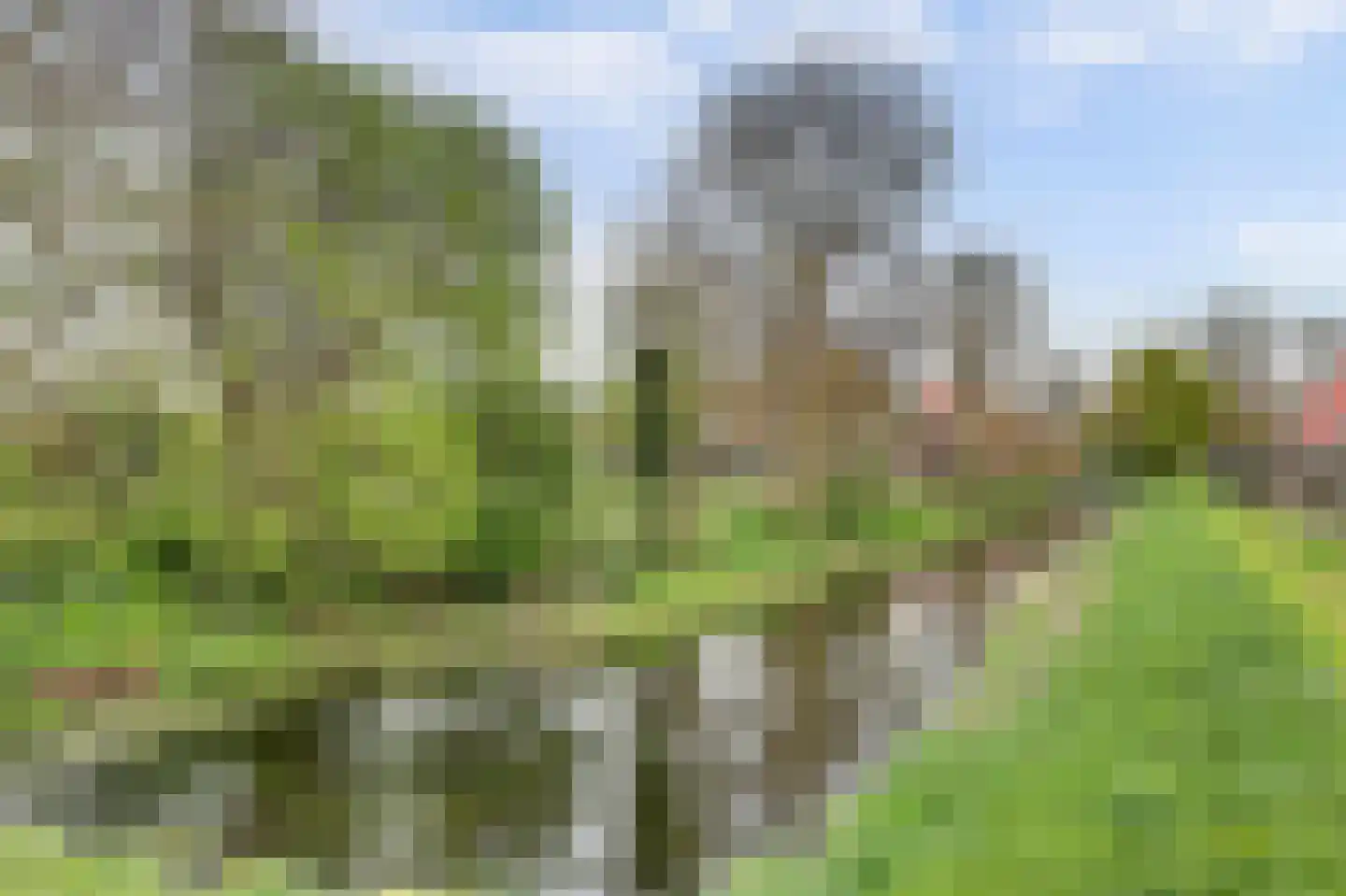 Weegbree 179 Zwaag thumbnail 40