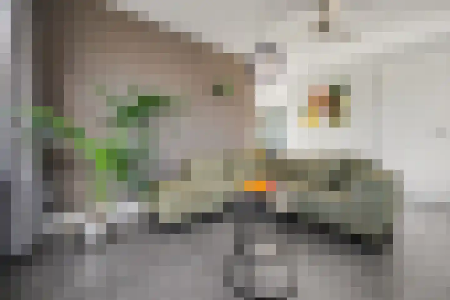 Weegbree 18 Alphen thumbnail 17
