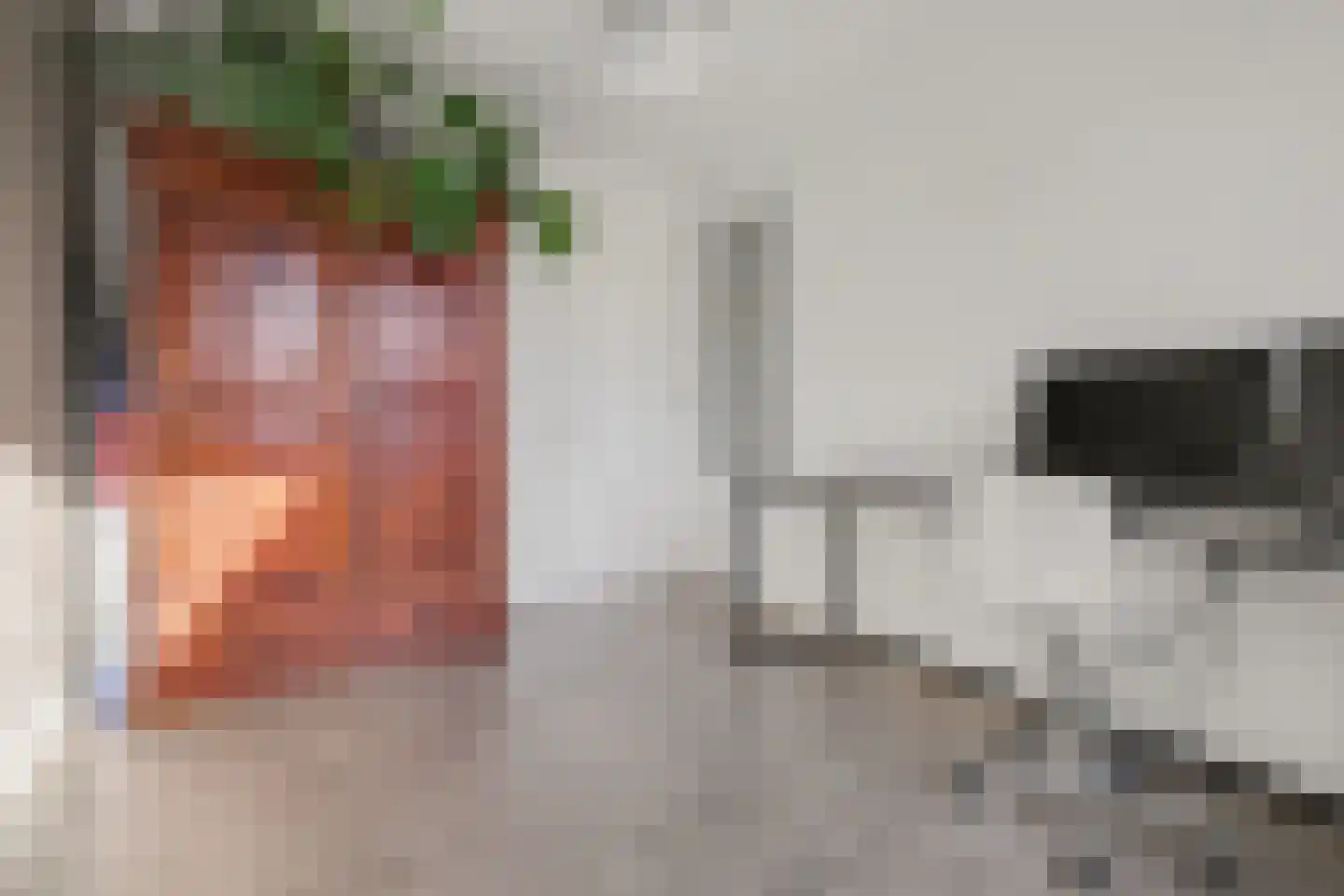Weegbree 18 Alphen thumbnail 31