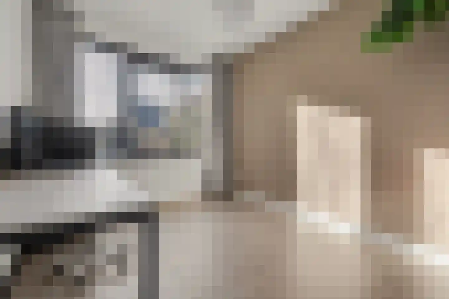 Weegbree 18 Alphen thumbnail 32