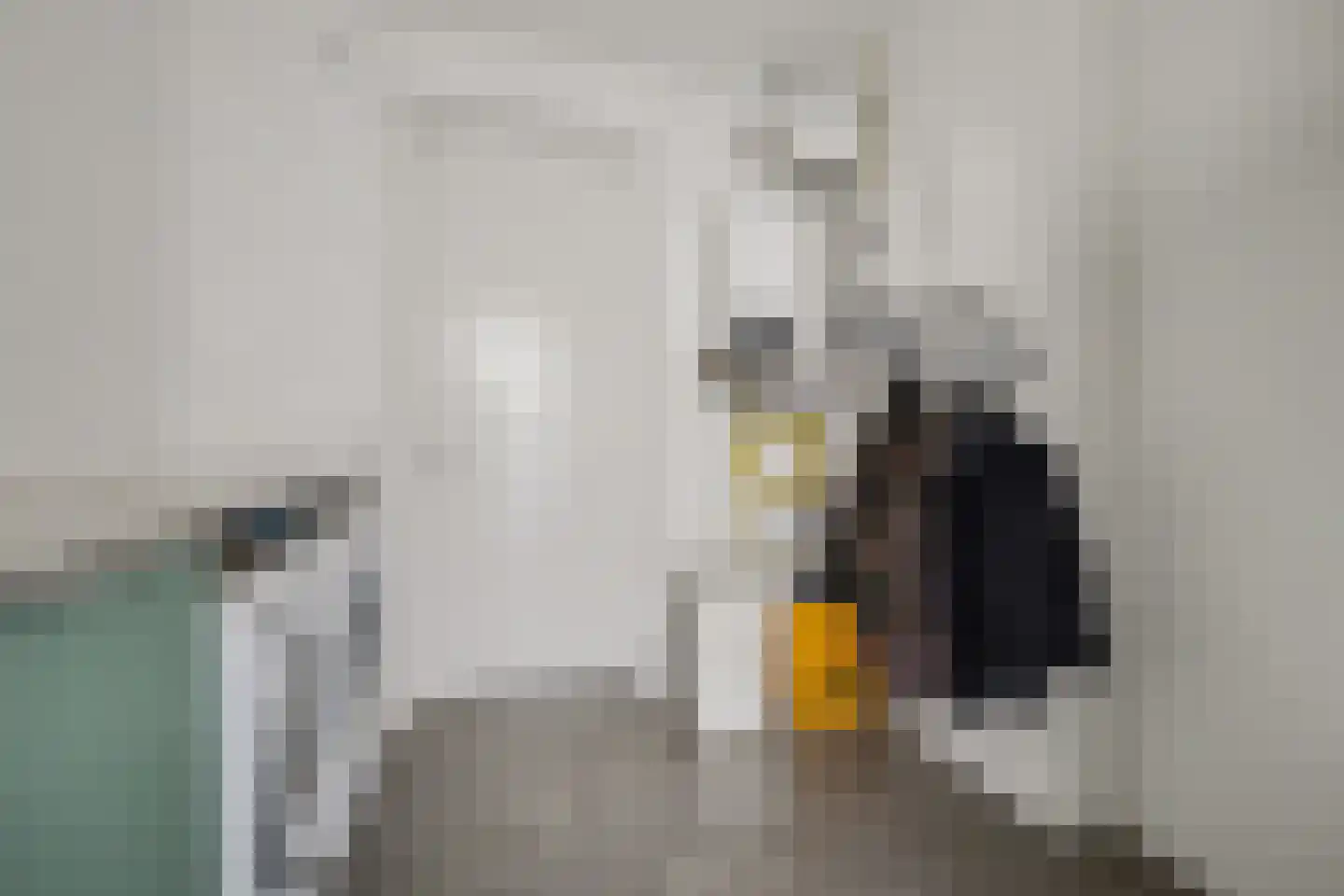 Weegbree 18 Alphen thumbnail 33