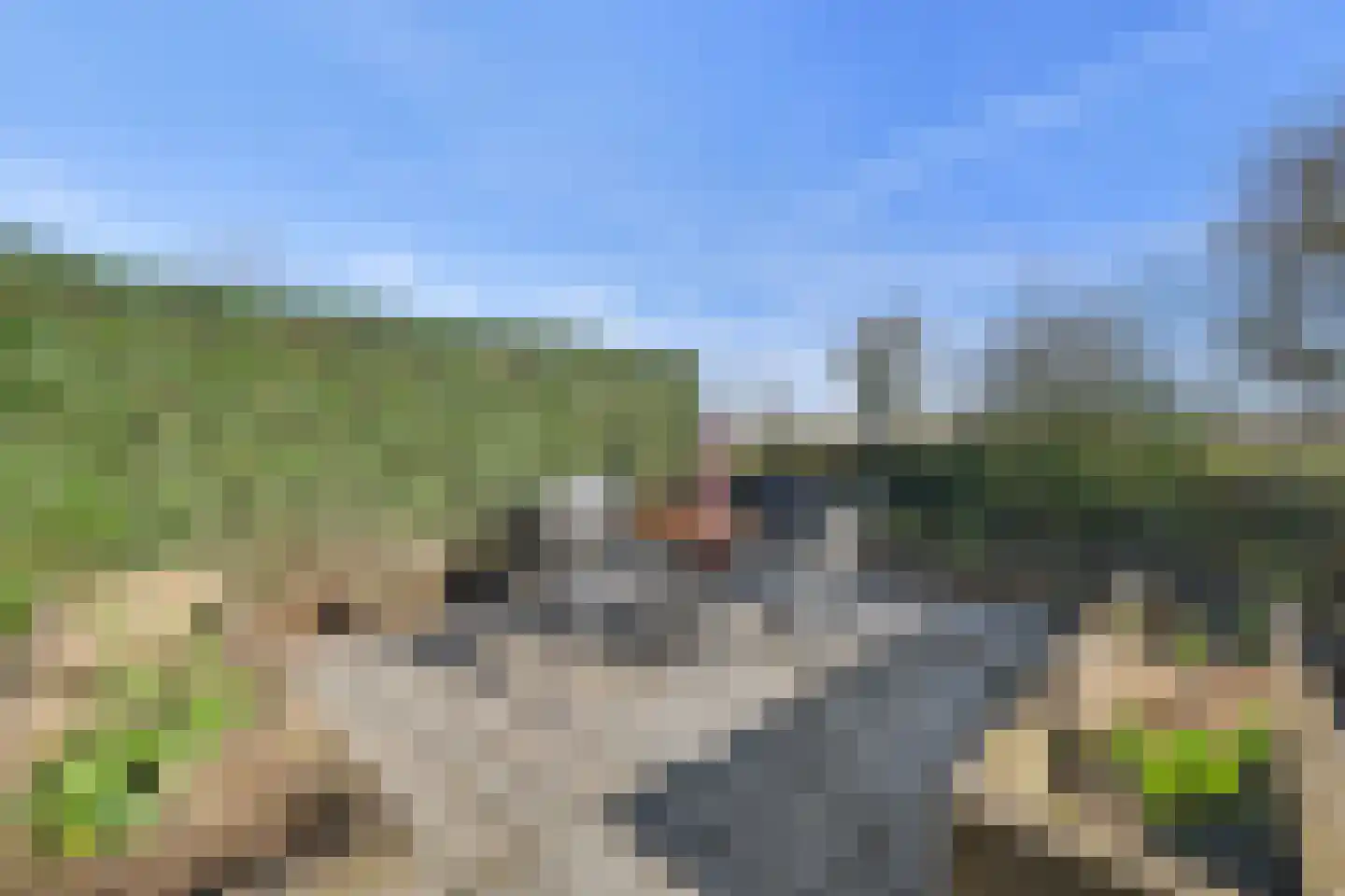 Weegbree 18 Alphen thumbnail 66