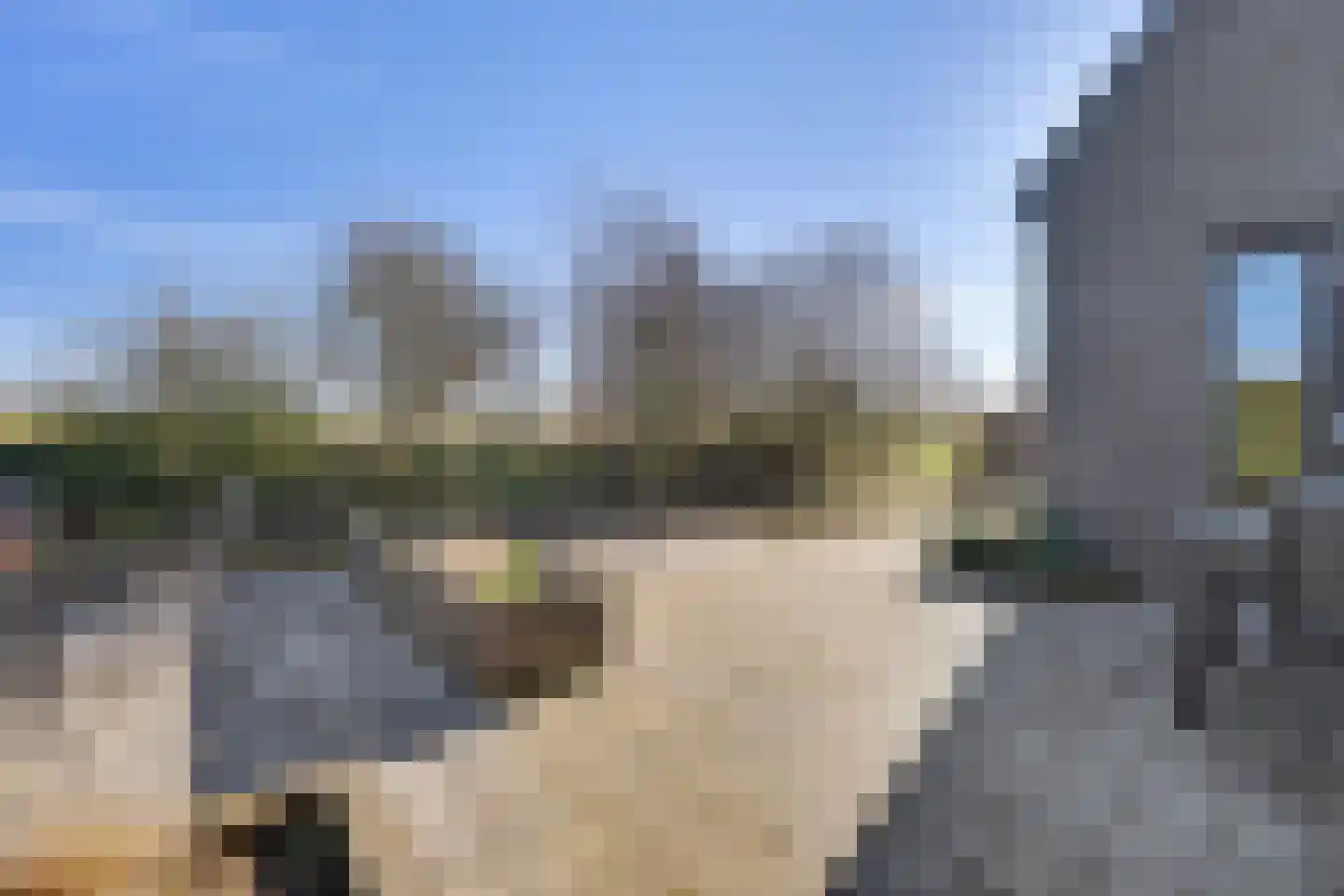 Weegbree 18 Alphen thumbnail 67
