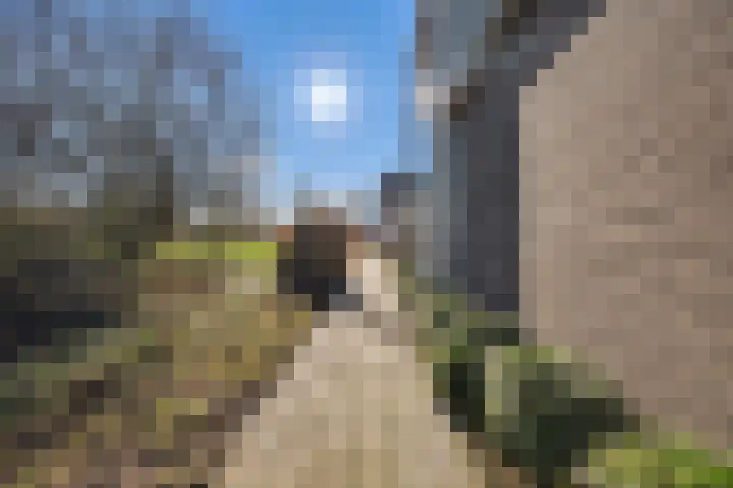 Weegbree 18 Alphen thumbnail 69
