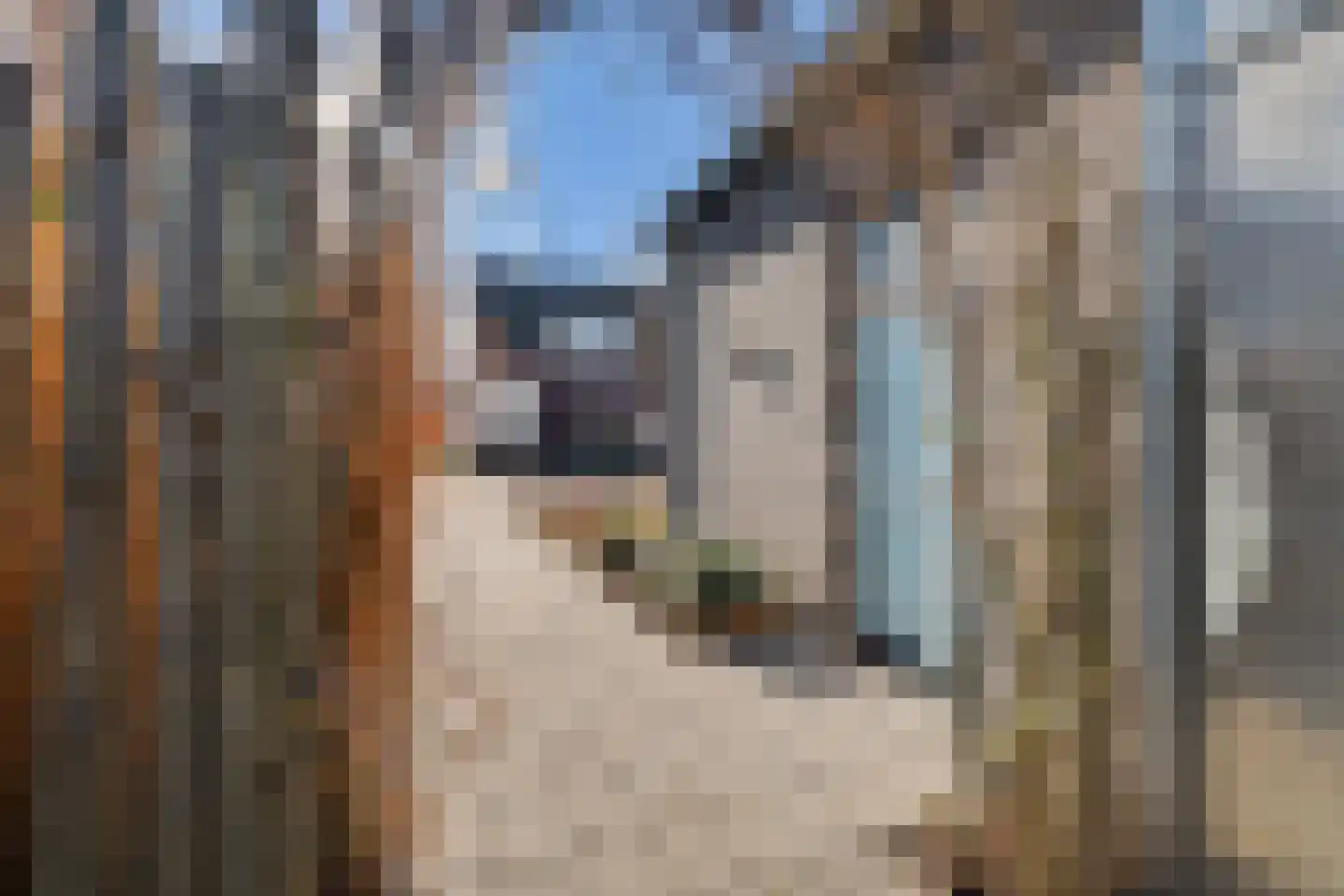 Weegbree 18 Alphen thumbnail 70