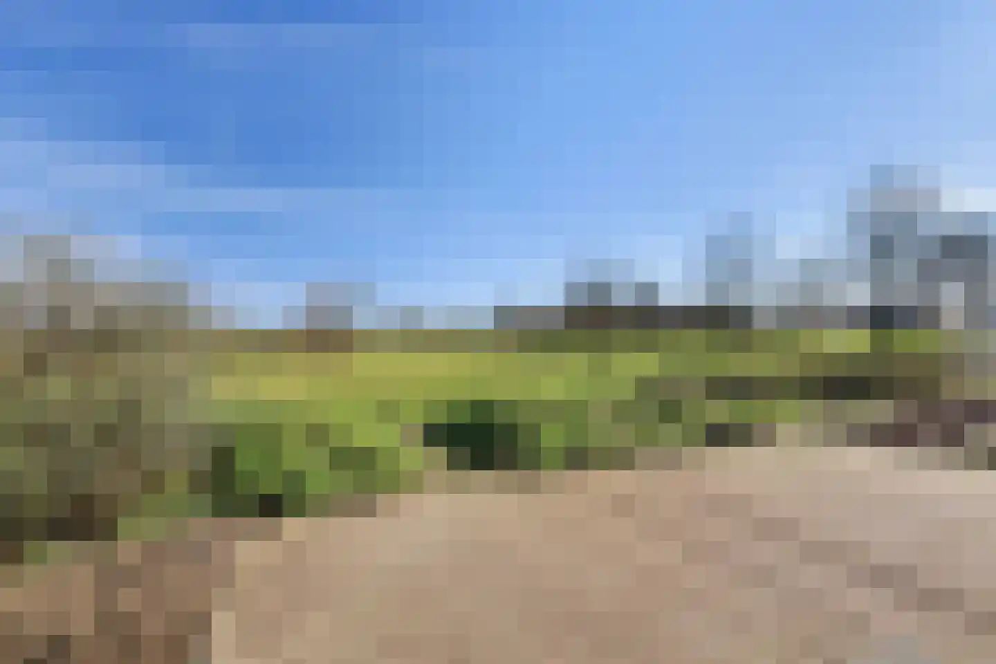 Weegbree 18 Alphen thumbnail 77