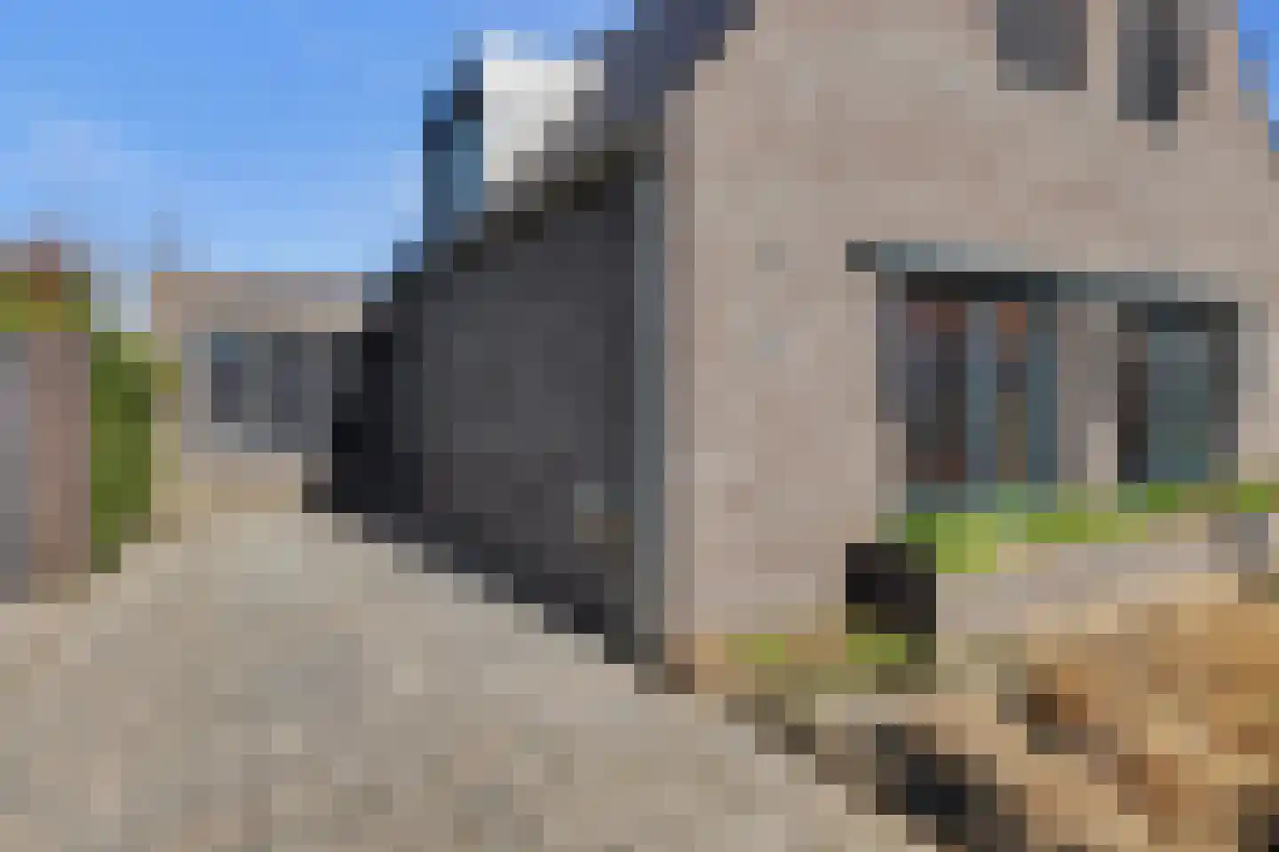 Weegbree 18 Alphen thumbnail 9