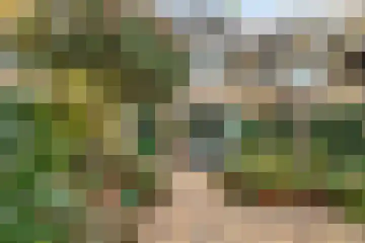 Weegbree 18 Krimpen aan den IJssel thumbnail 30