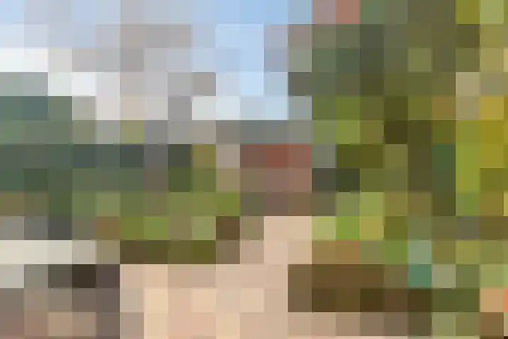 Weegbree 18 Krimpen aan den IJssel thumbnail 31