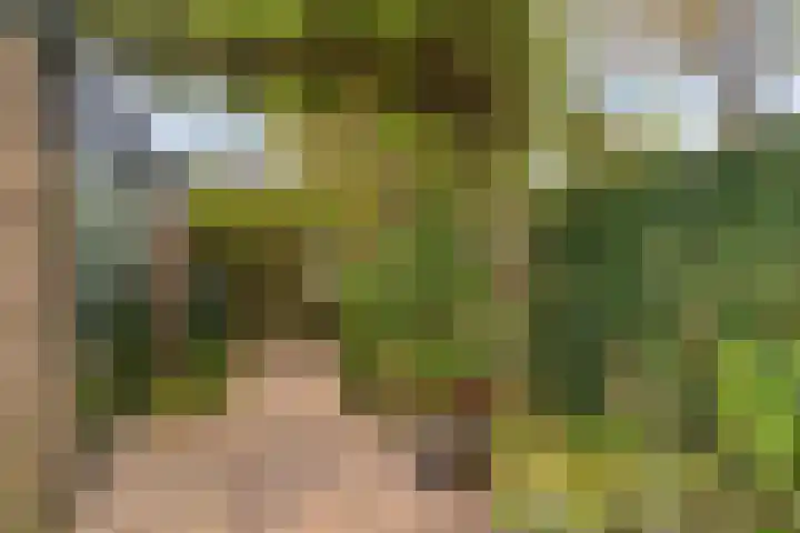 Weegbree 18 Krimpen aan den IJssel thumbnail 32