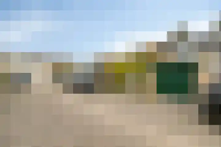 Weegbree 18 Krimpen aan den IJssel thumbnail 33
