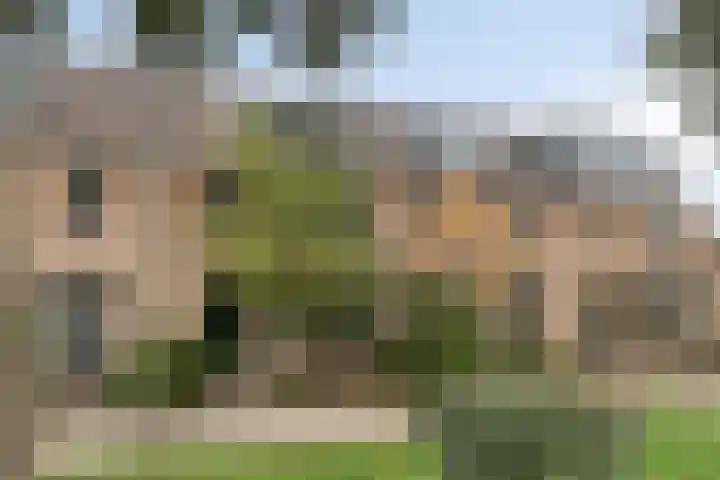 Weegbree 18 Krimpen aan den IJssel thumbnail 34