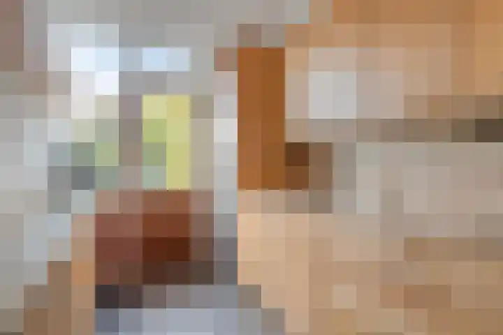 Weegbree 18 Krimpen aan den IJssel thumbnail 8
