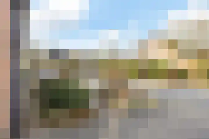Weegbree 18 Roden thumbnail 13