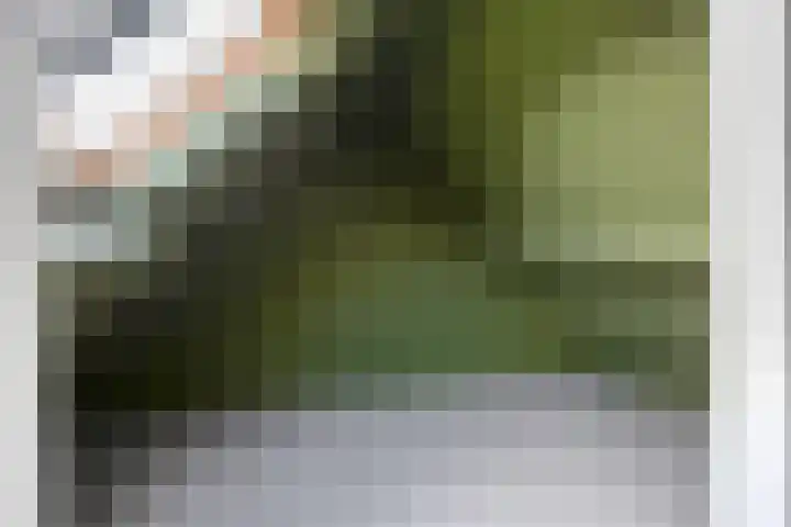 Weegbree 18 Roden thumbnail 43