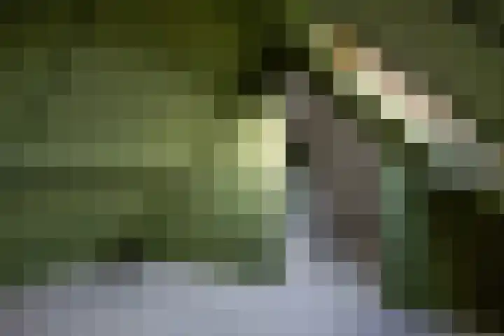 Weegbree 18 Roden thumbnail 44