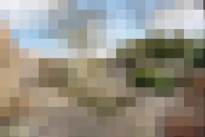 Weegbree 18 Roden thumbnail 47