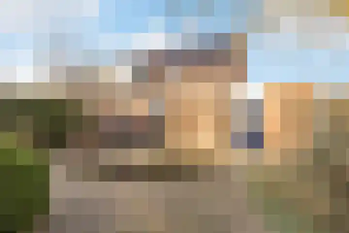 Weegbree 18 Roden thumbnail 48