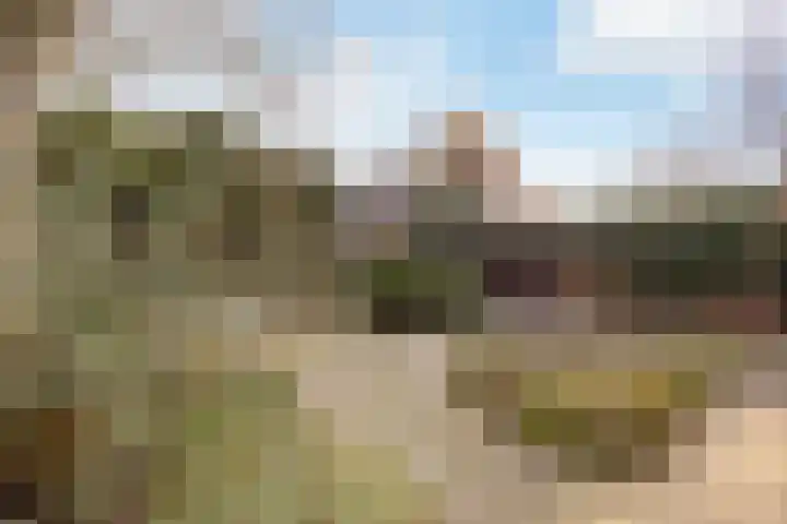 Weegbree 18 Roden thumbnail 49