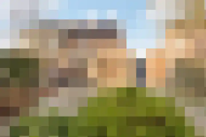 Weegbree 18 Roden thumbnail 50