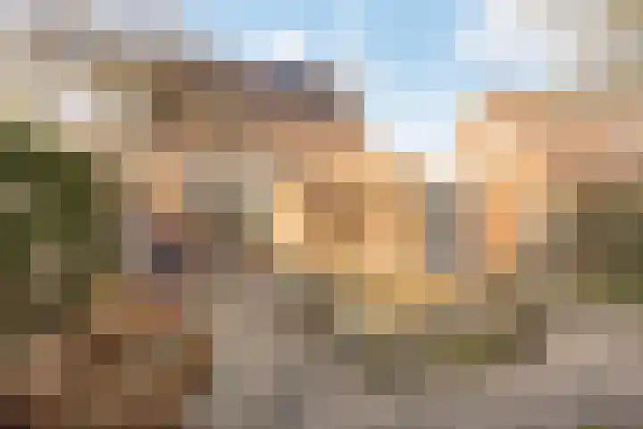 Weegbree 18 Roden thumbnail 51