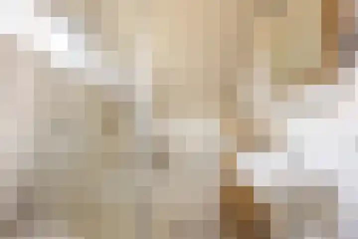 Weegbree 18 Roden thumbnail 7