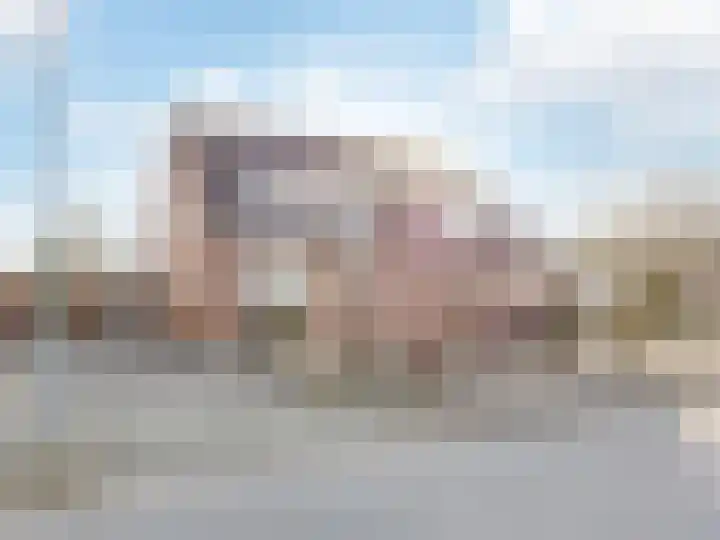 Weegbree 18 Roden thumbnail 9