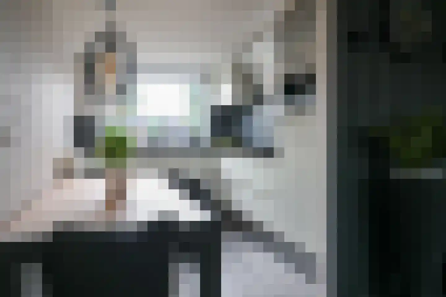Weegbree 18 Sneek thumbnail 16