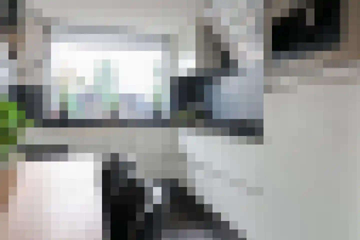 Weegbree 18 Sneek thumbnail 18