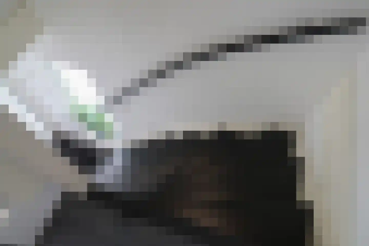 Weegbree 18 Sneek thumbnail 24