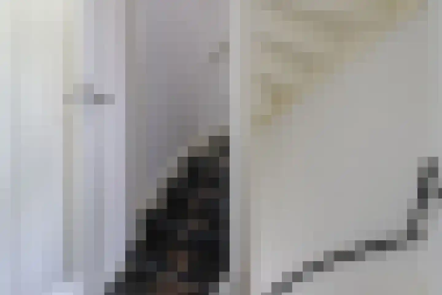 Weegbree 18 Sneek thumbnail 37