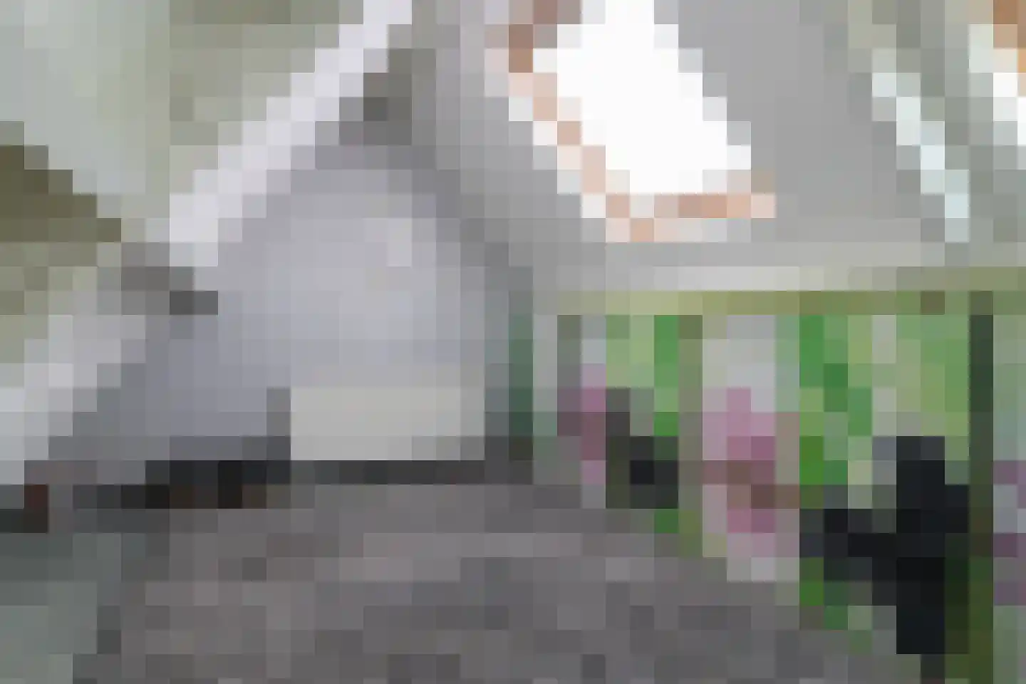 Weegbree 18 Sneek thumbnail 38