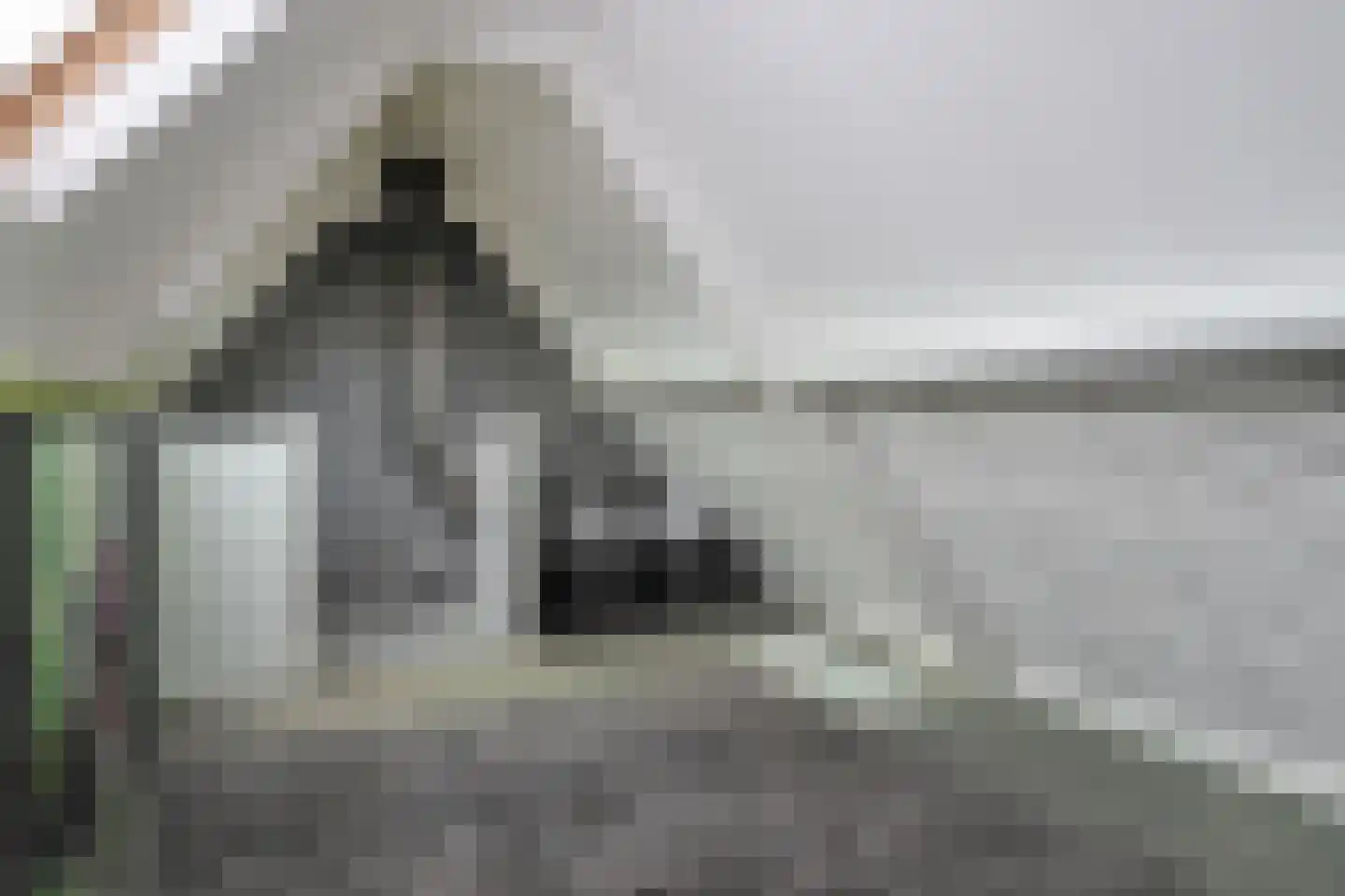 Weegbree 18 Sneek thumbnail 39