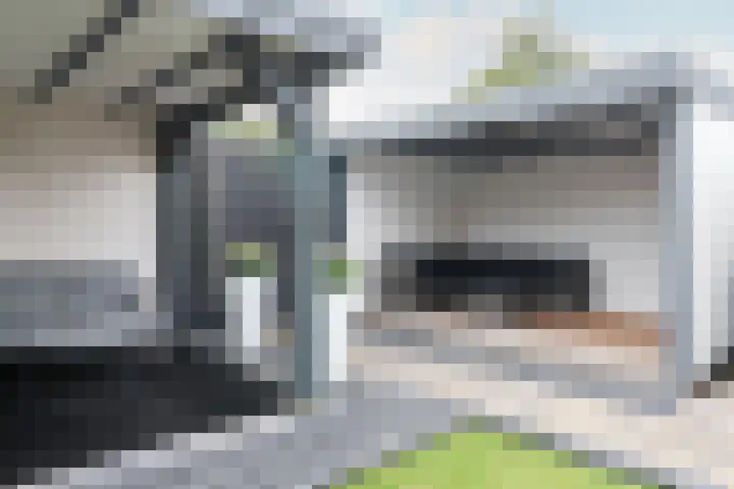 Weegbree 18 Sneek thumbnail 45