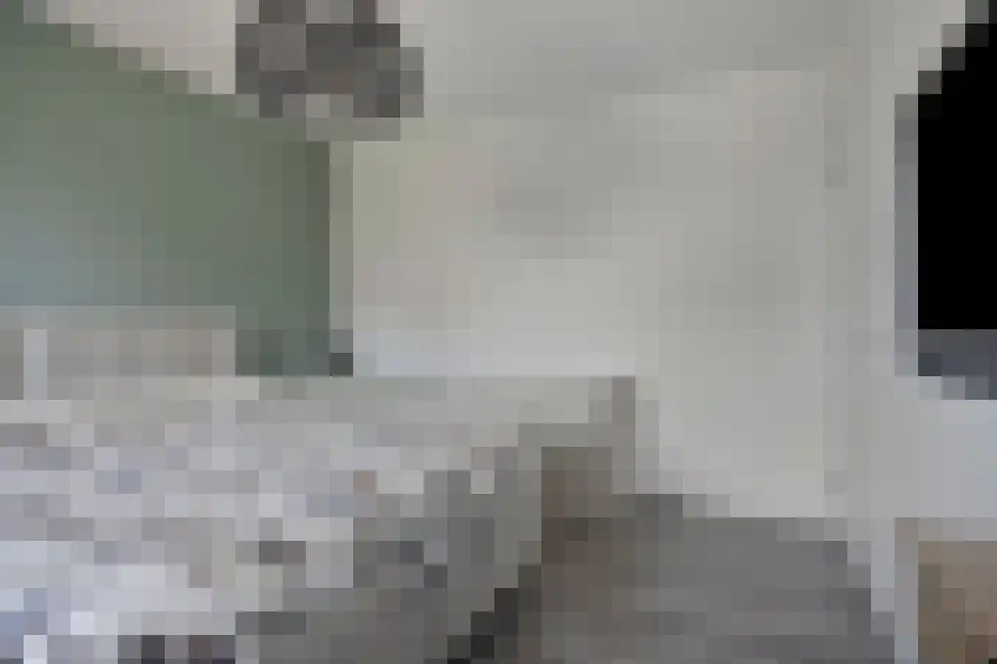 Weegbree 19 Alphen thumbnail 26